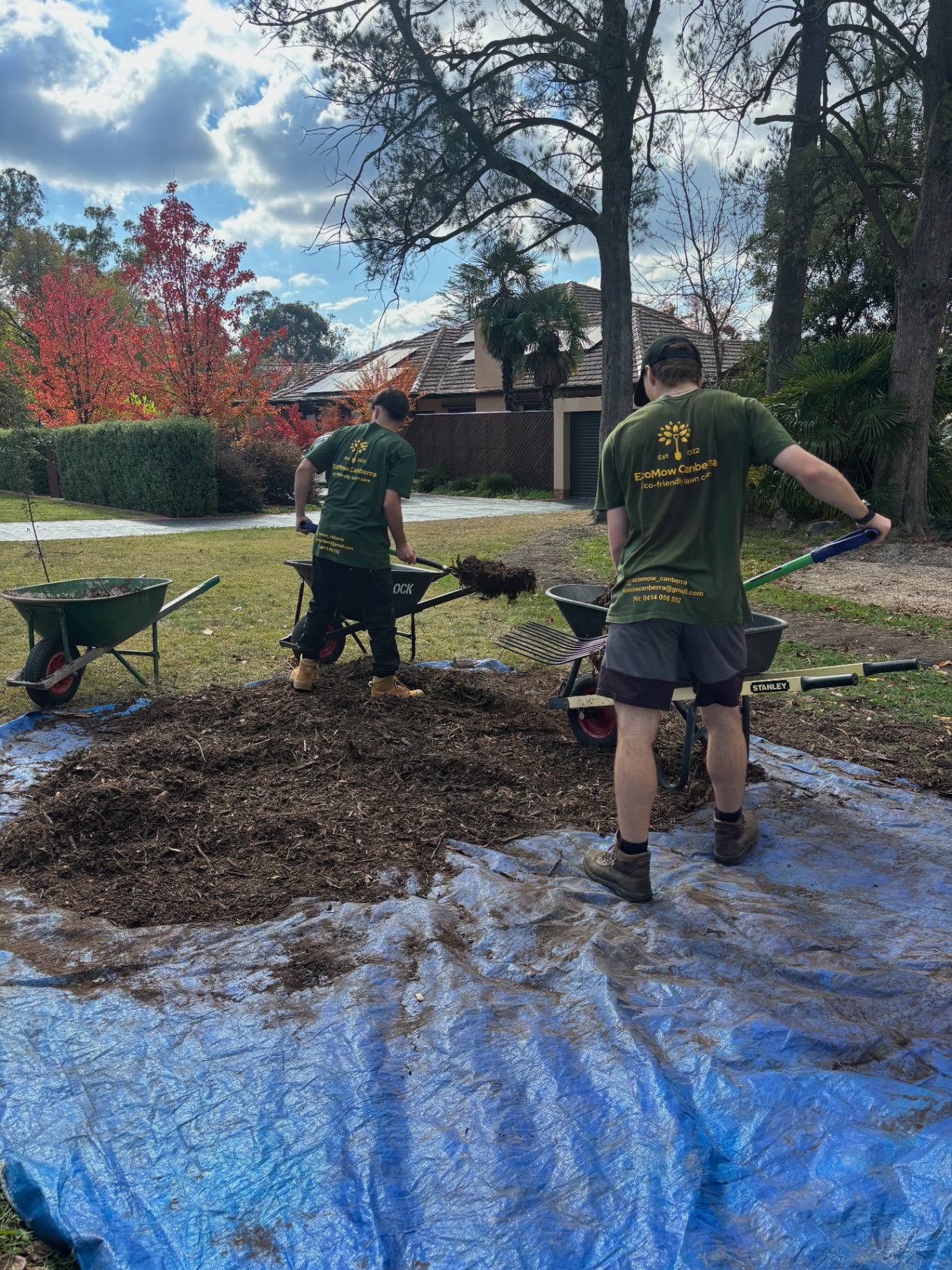 Fresh mow and edge on a Hackett front yard