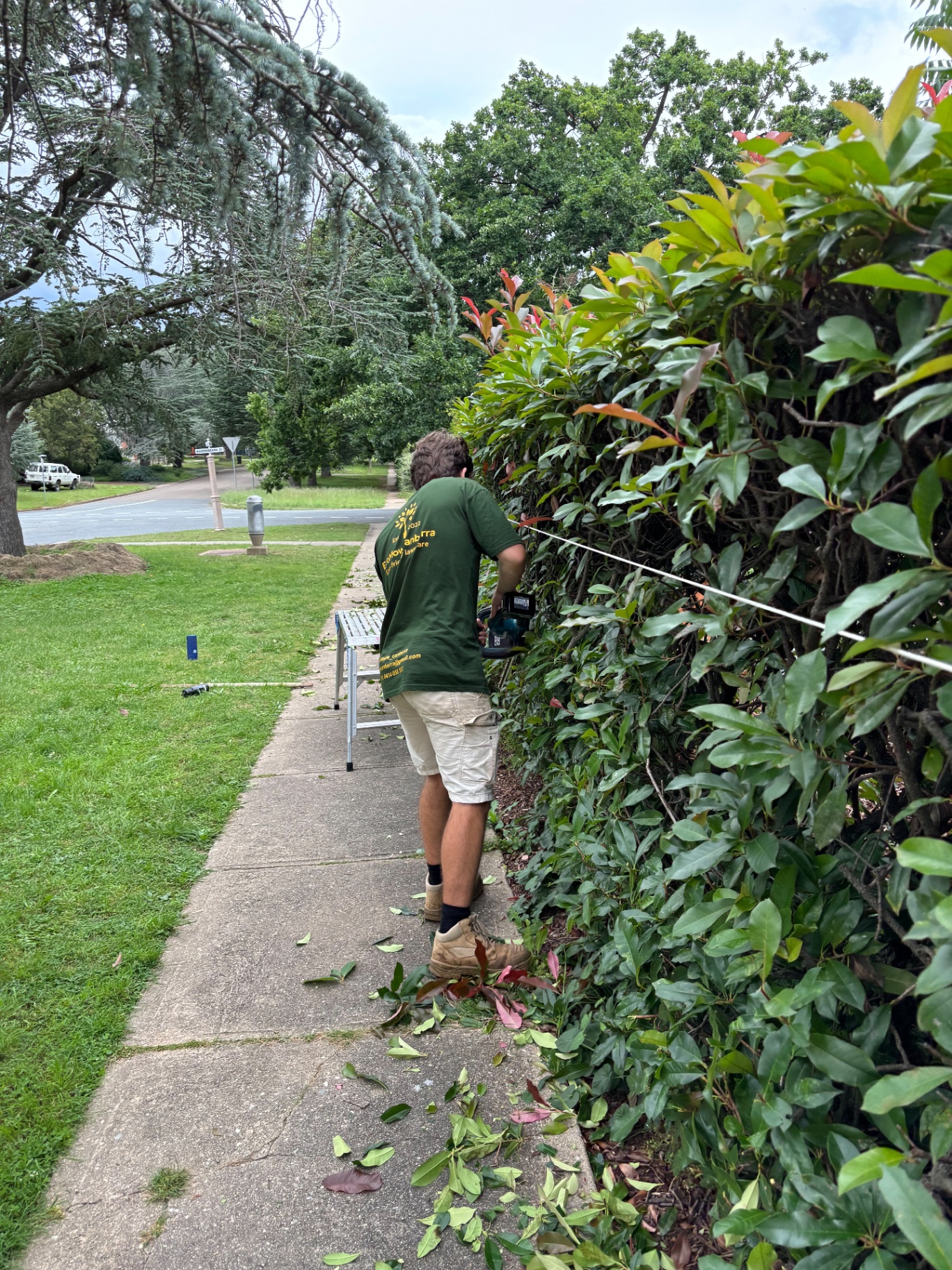 Crisp edge work along a paved driveway