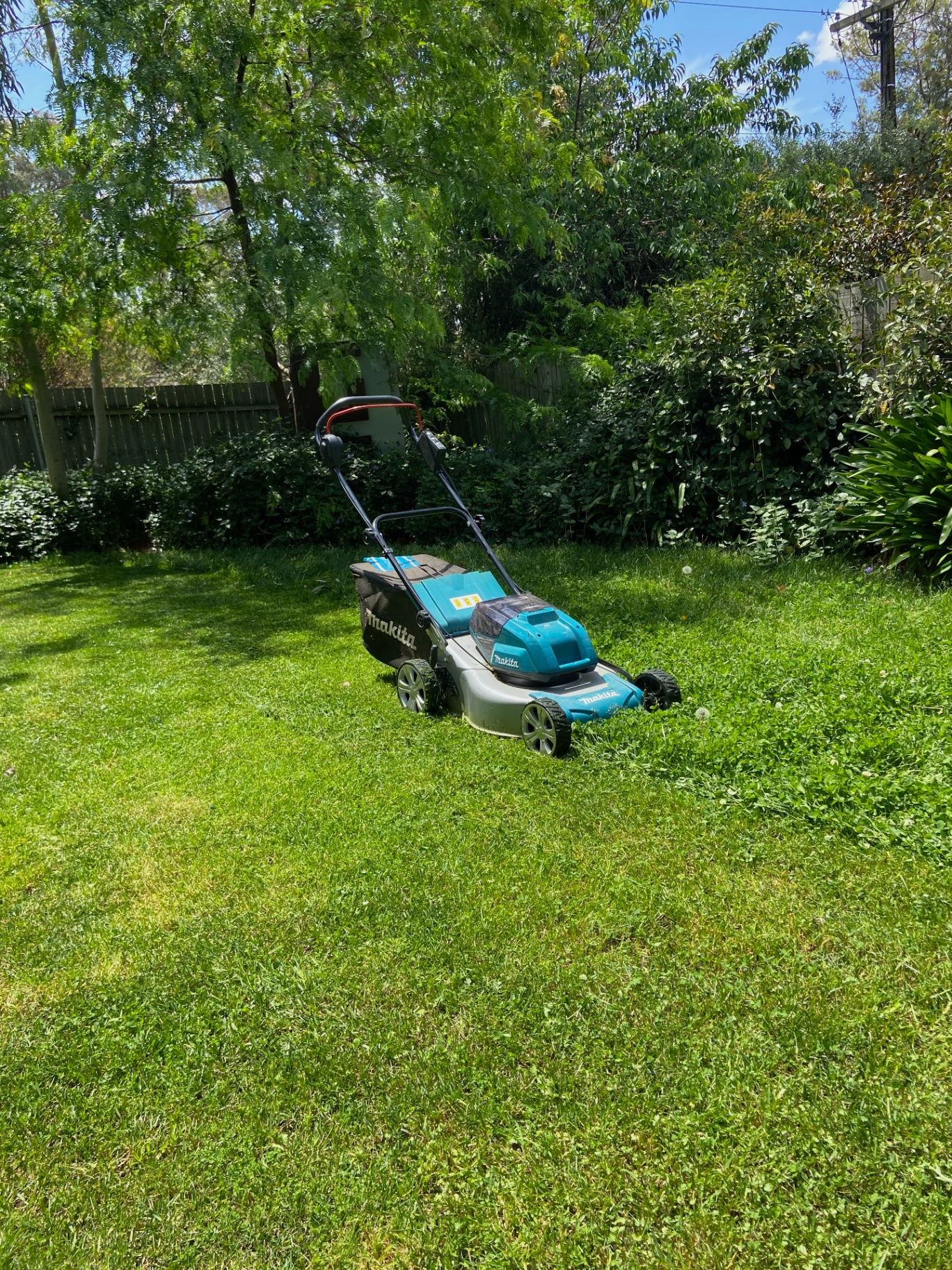 Hedge reset — crisp, straight, properly tidy