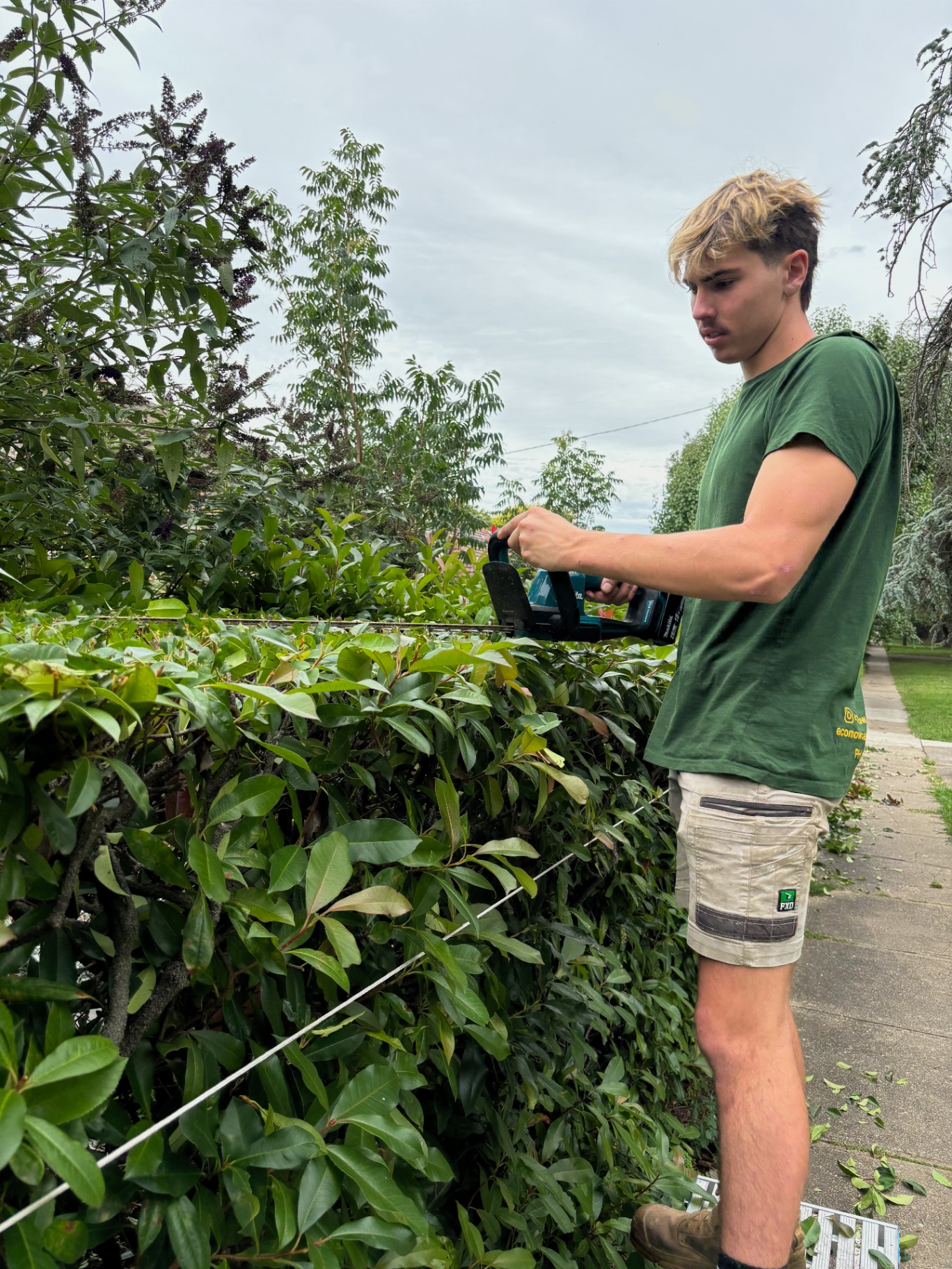 Mulch refresh and bed tidy